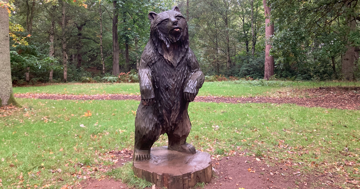 Bear web ud