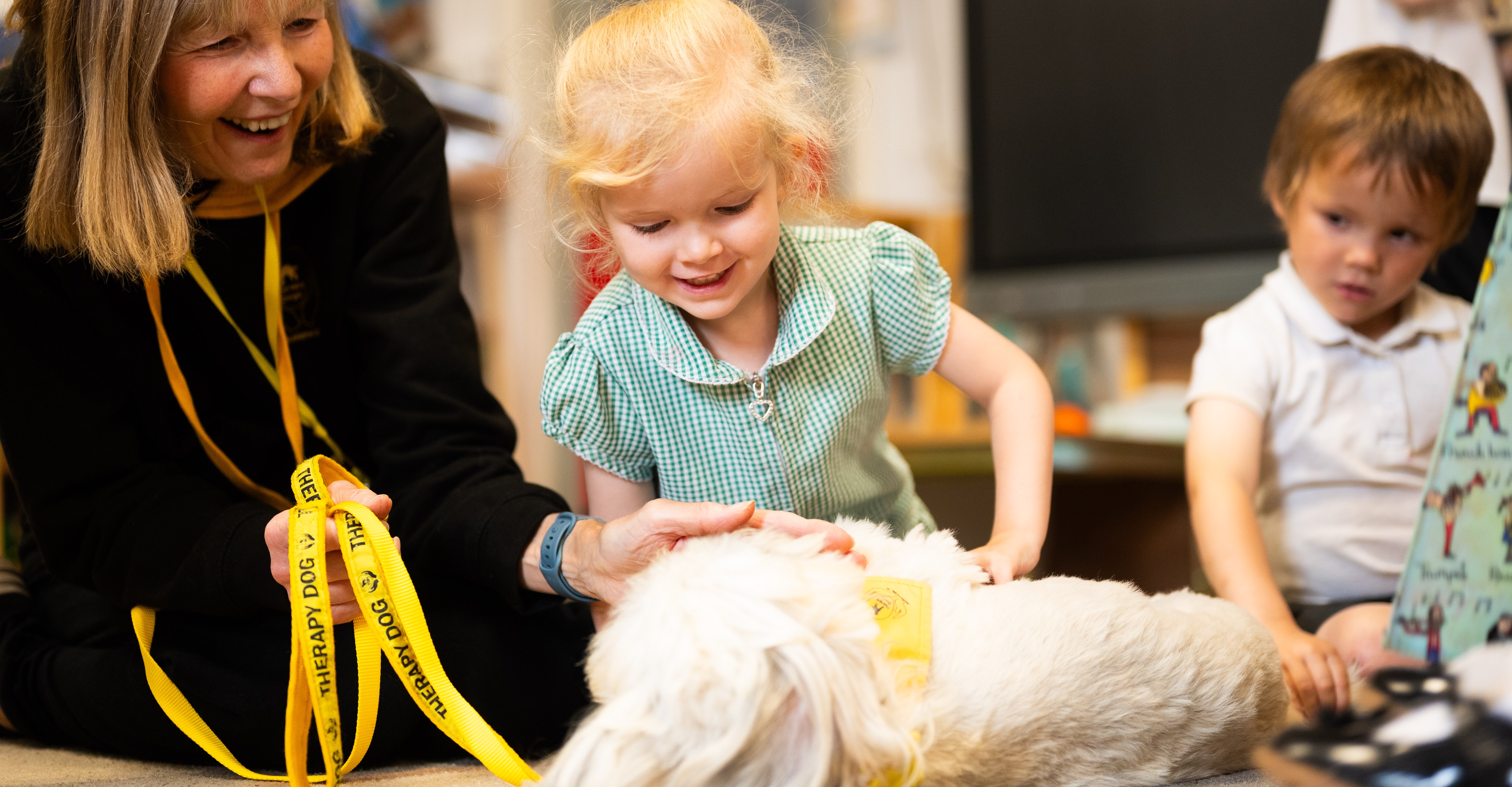 26IB Therapy Dog Heacham Infant 1 26IB Therapy Dog Heacham Infant 1