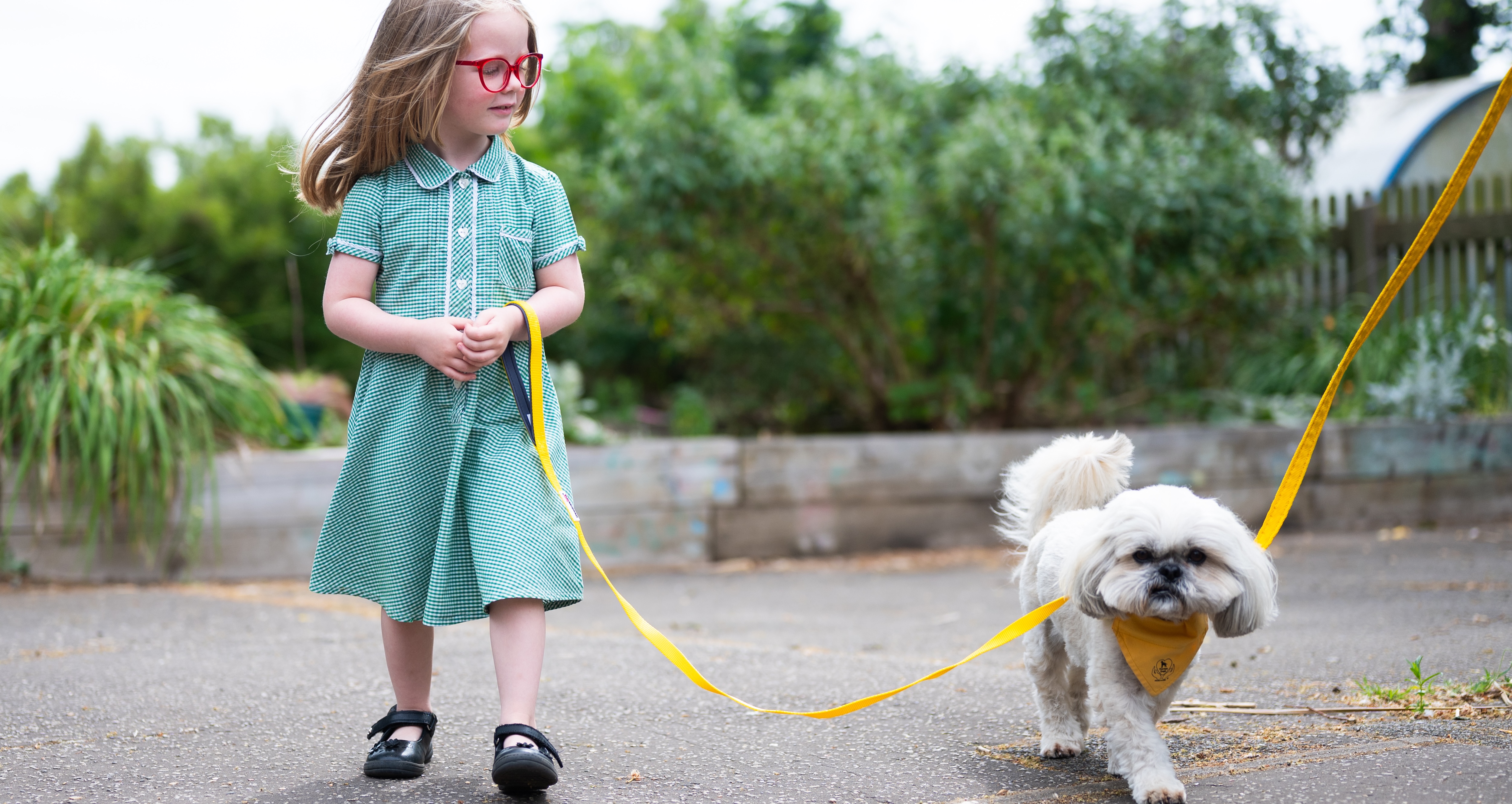 26IB Therapy Dog Heacham Infant 19 26IB Therapy Dog Heacham Infant 19