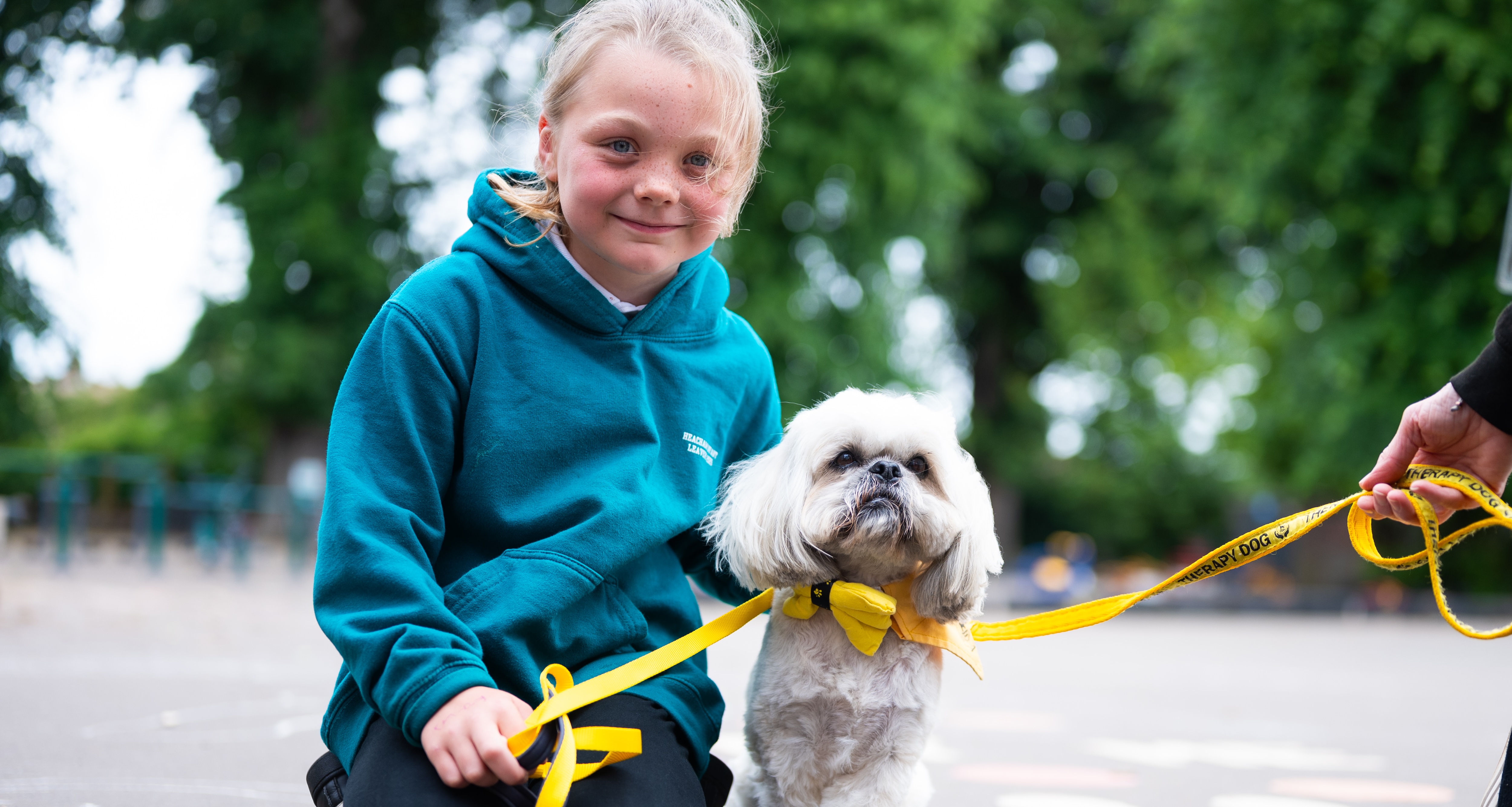 26IB Therapy Dog Heacham Infant 28 26IB Therapy Dog Heacham Infant 28