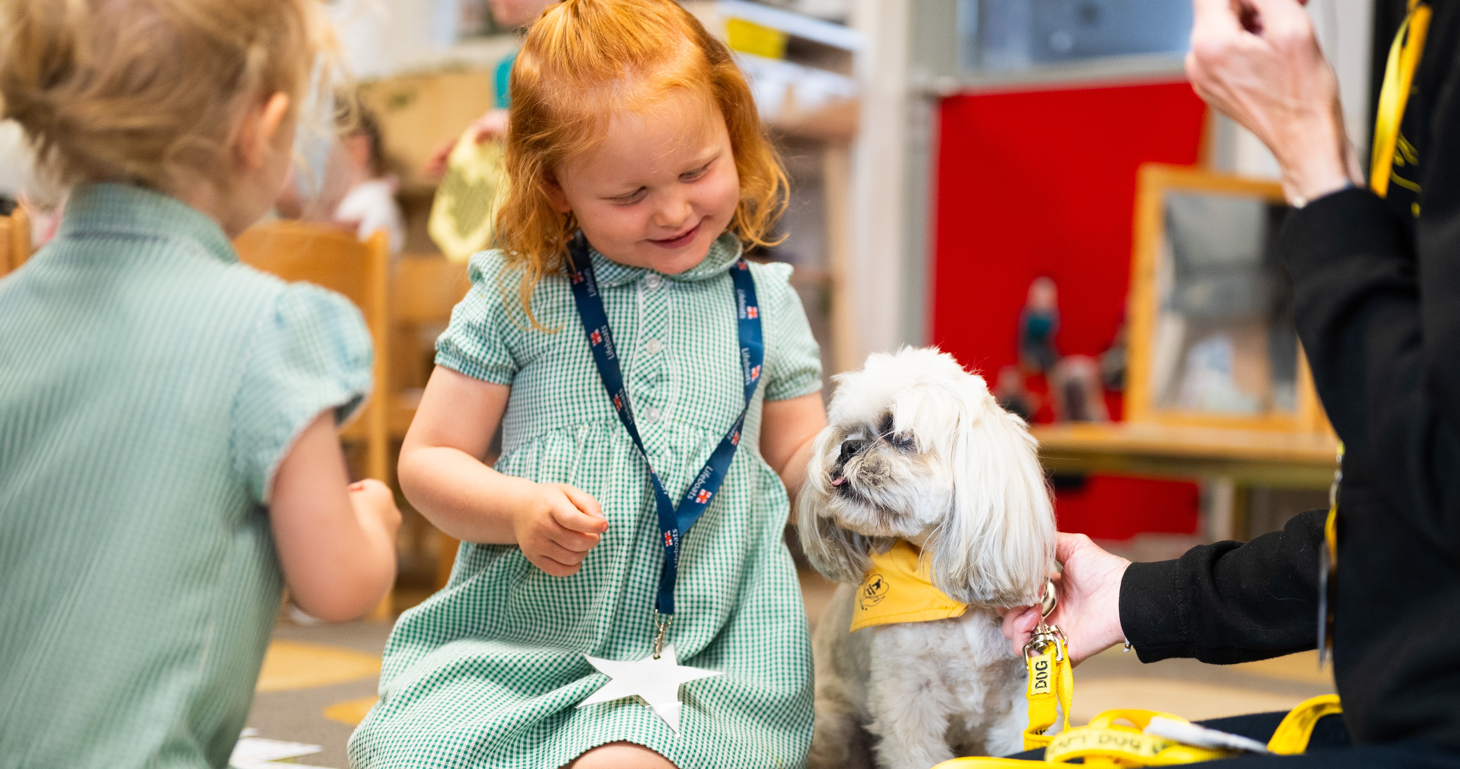26IB Therapy Dog Heacham Infant 7 26IB Therapy Dog Heacham Infant 7