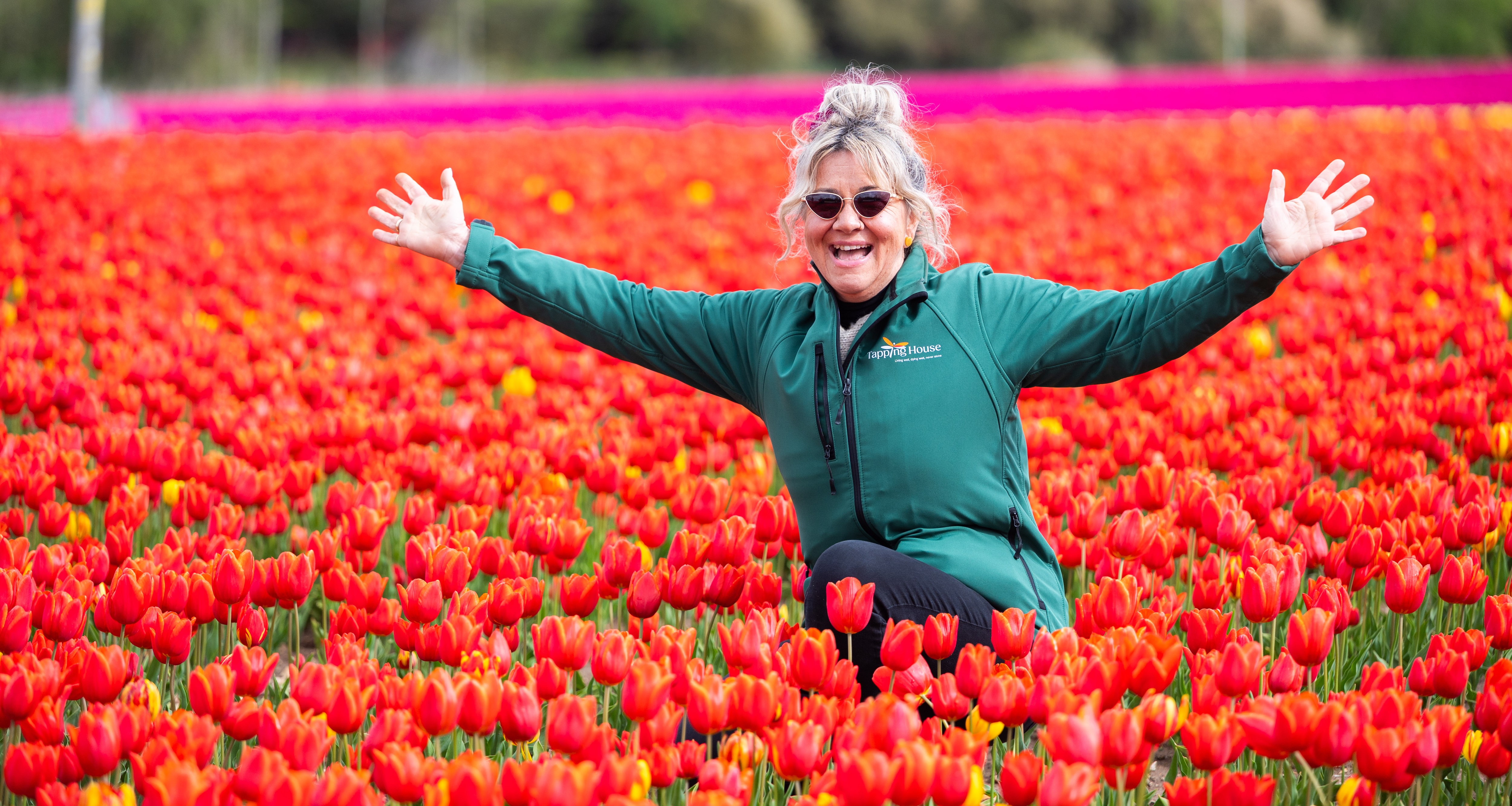 26IB Tulips For Tapping 14 26IB Tulips For Tapping 14
