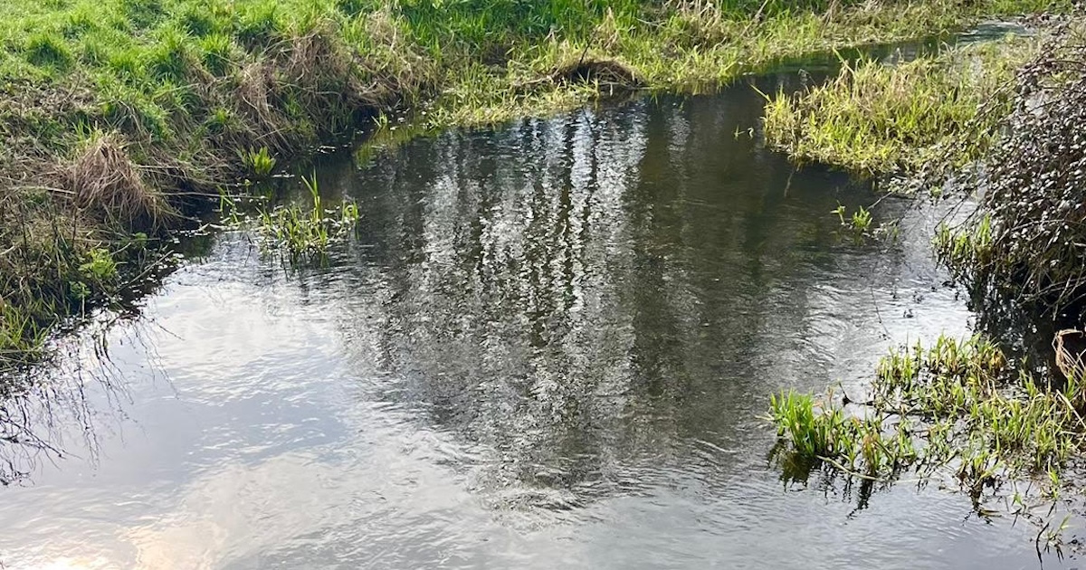 Protecting our Chalk Streams