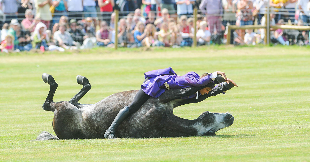 Holkham6 Holkham6