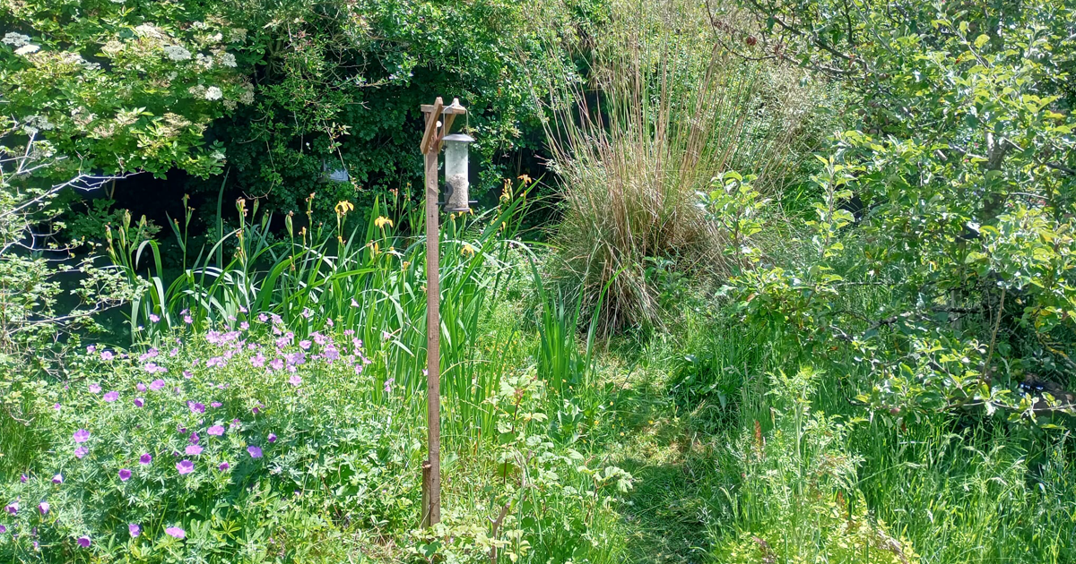 Large garden web Large garden web