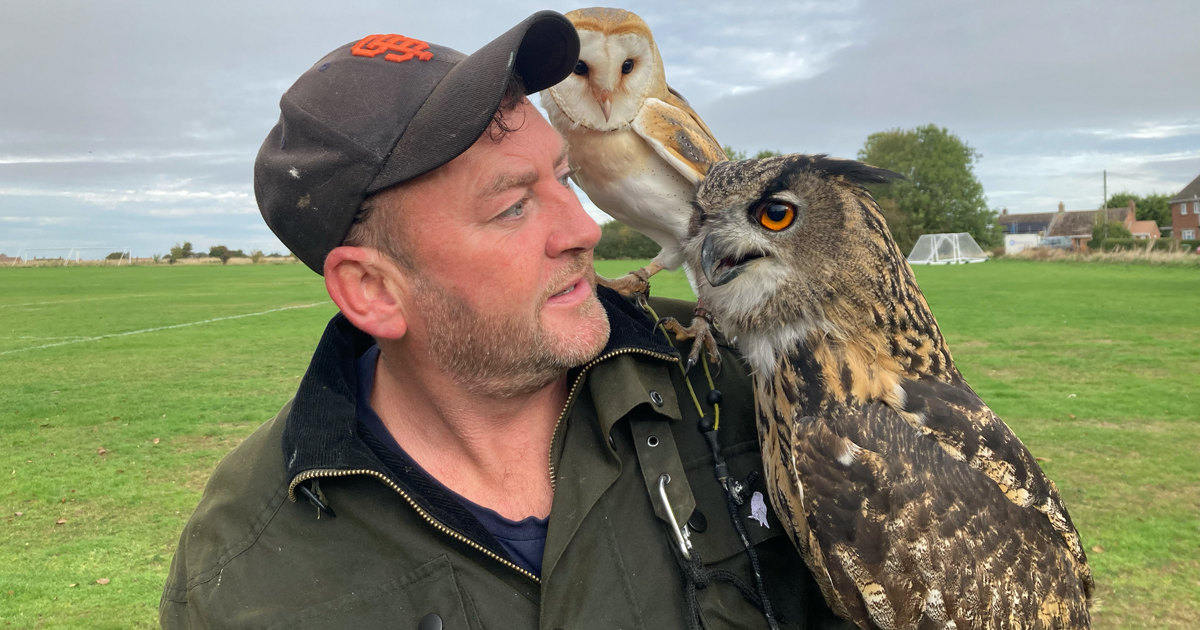 Owl web 7 Owl web 7