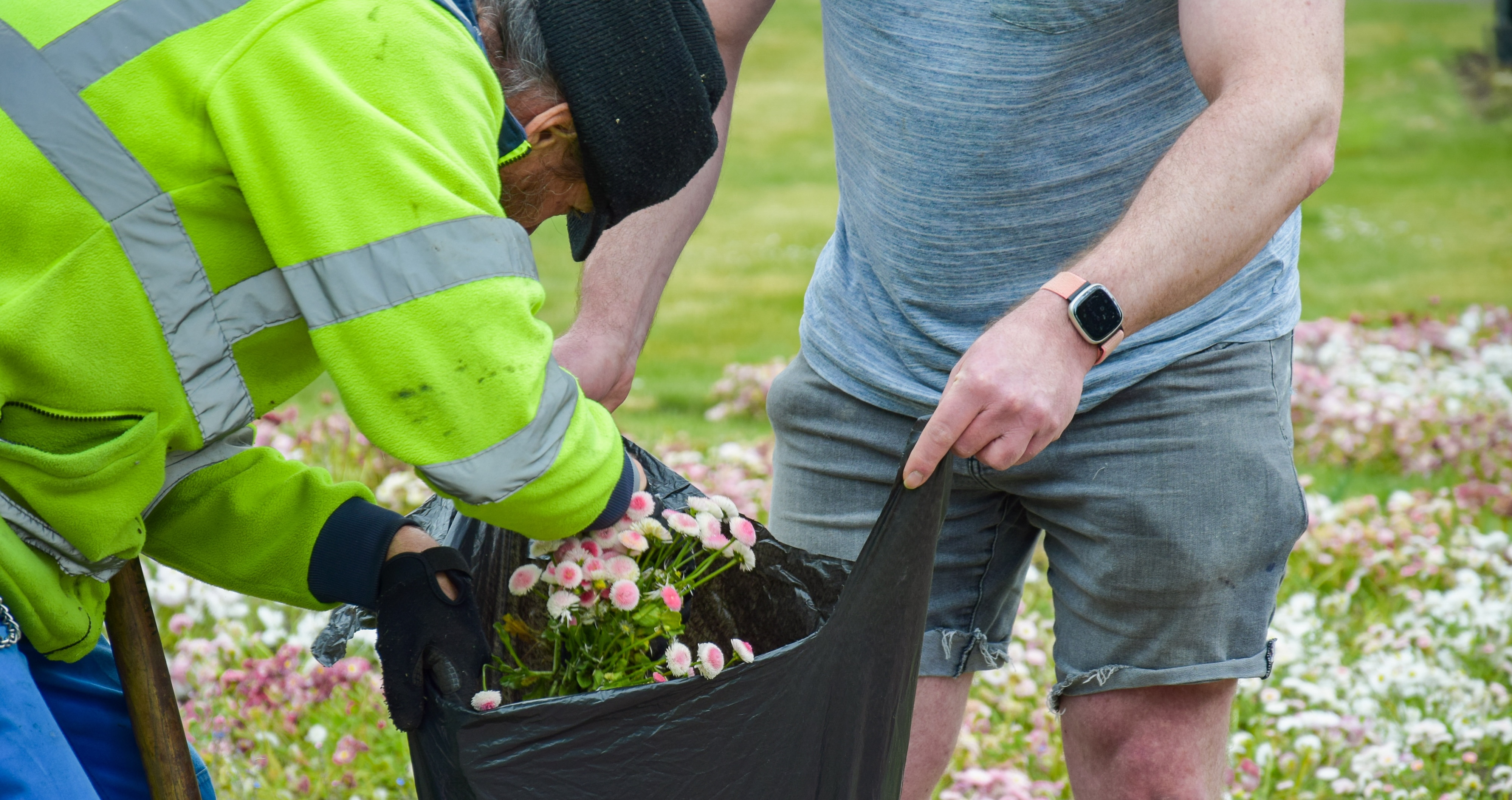 Plant giveaway 2025 12