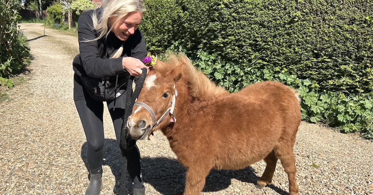 Pony 2 Pony 2