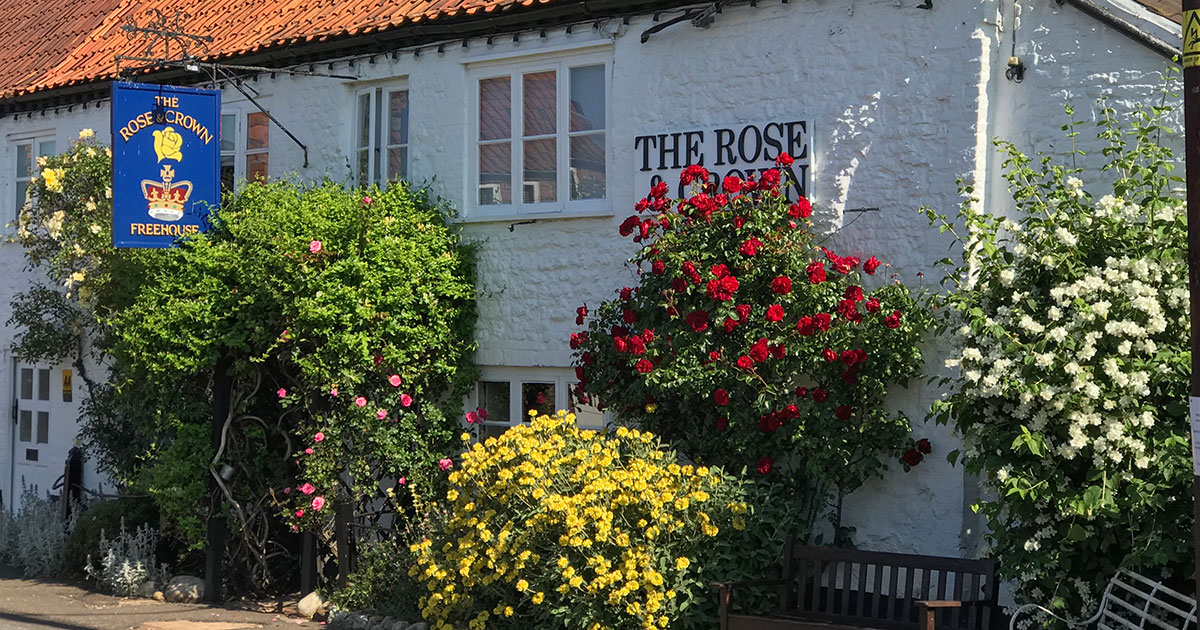 Rose1 Rose1