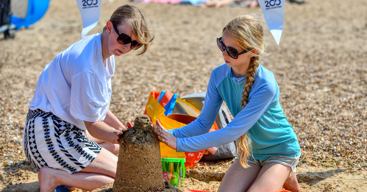 Sandcastle web 5 Sandcastle web 5