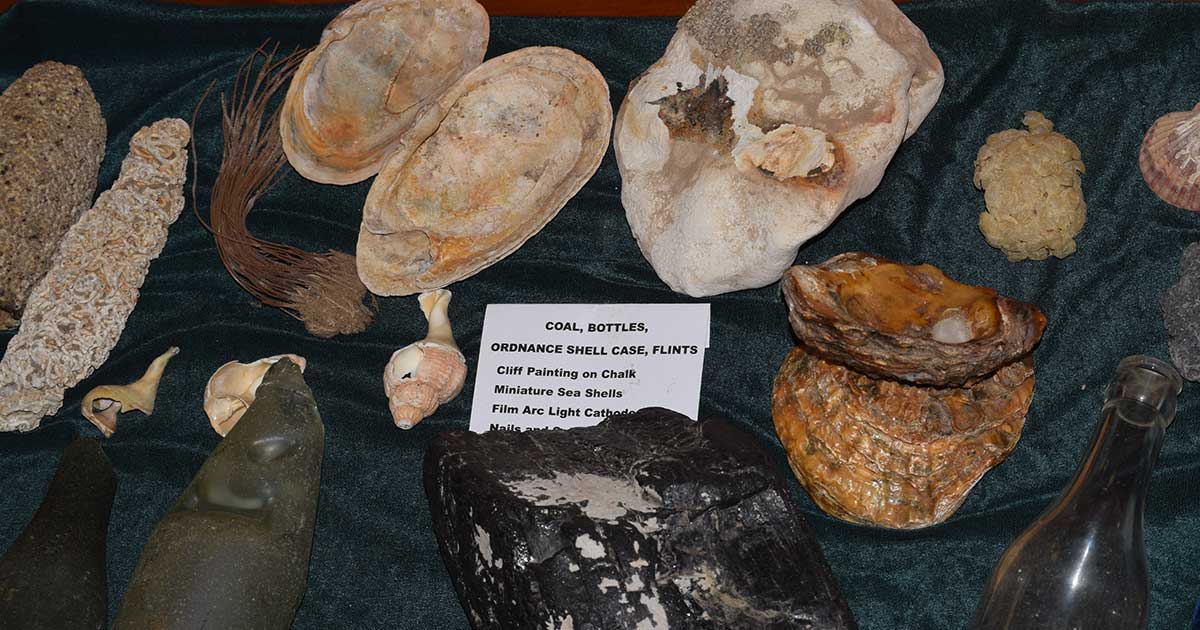 Sea stuff Sea stuff