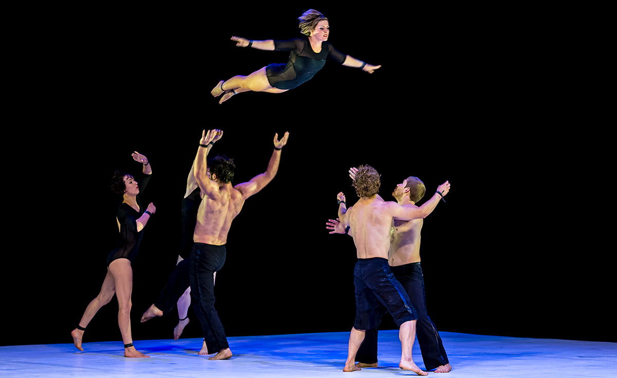 Web dancers Web dancers