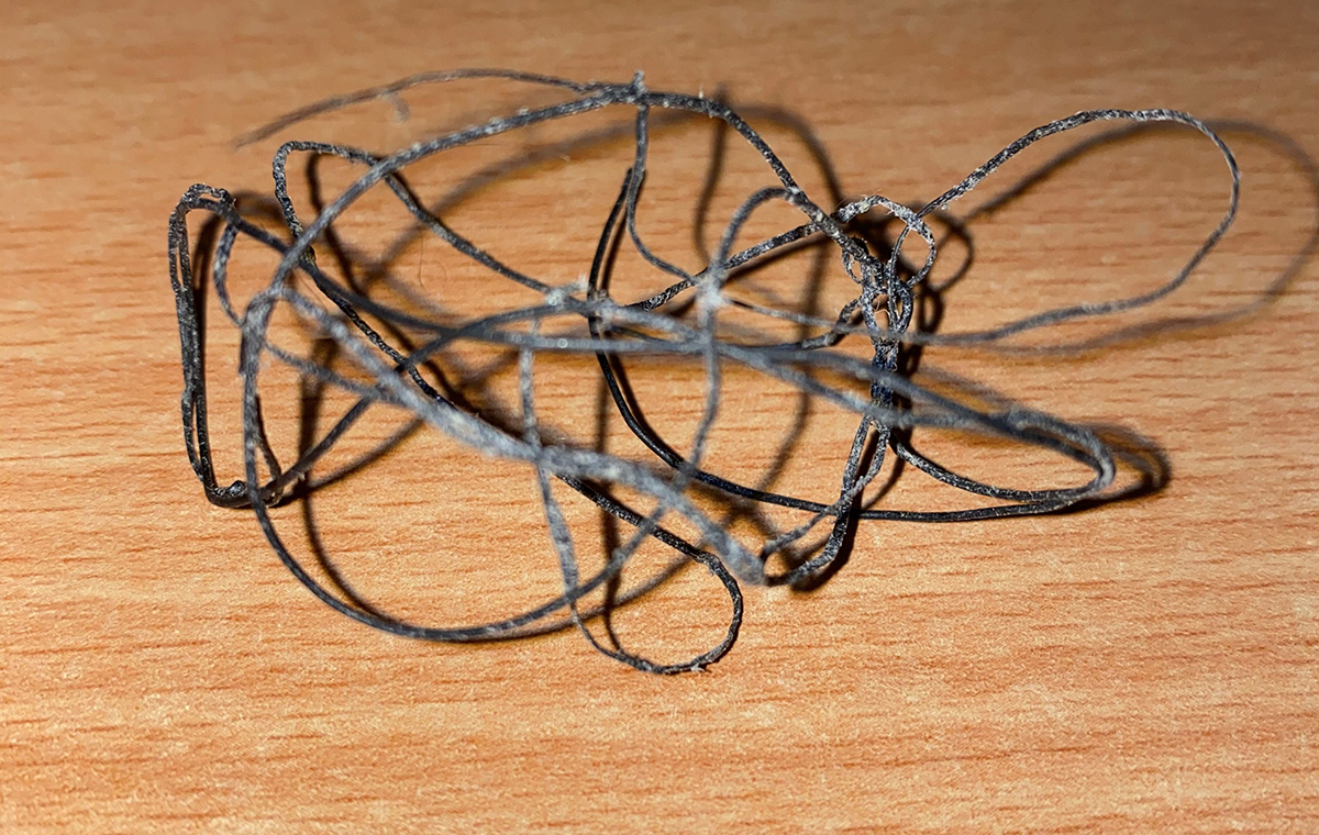 Web fishing net from seal stomach Web fishing net from seal stomach