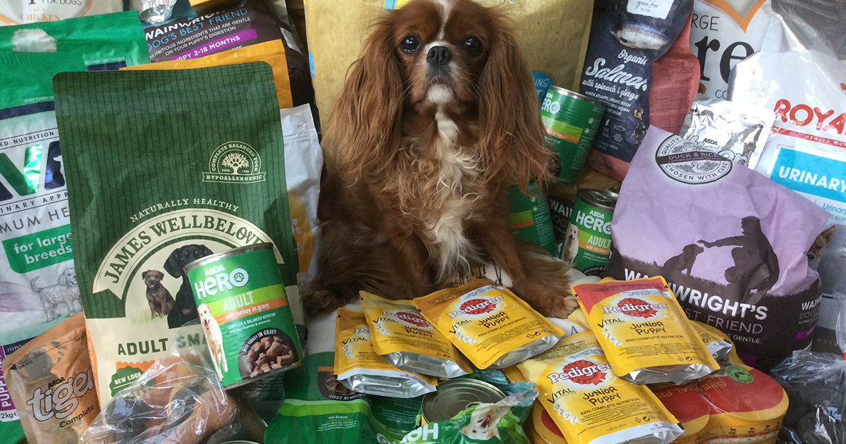Web zsa zsa and food donations Web zsa zsa and food donations