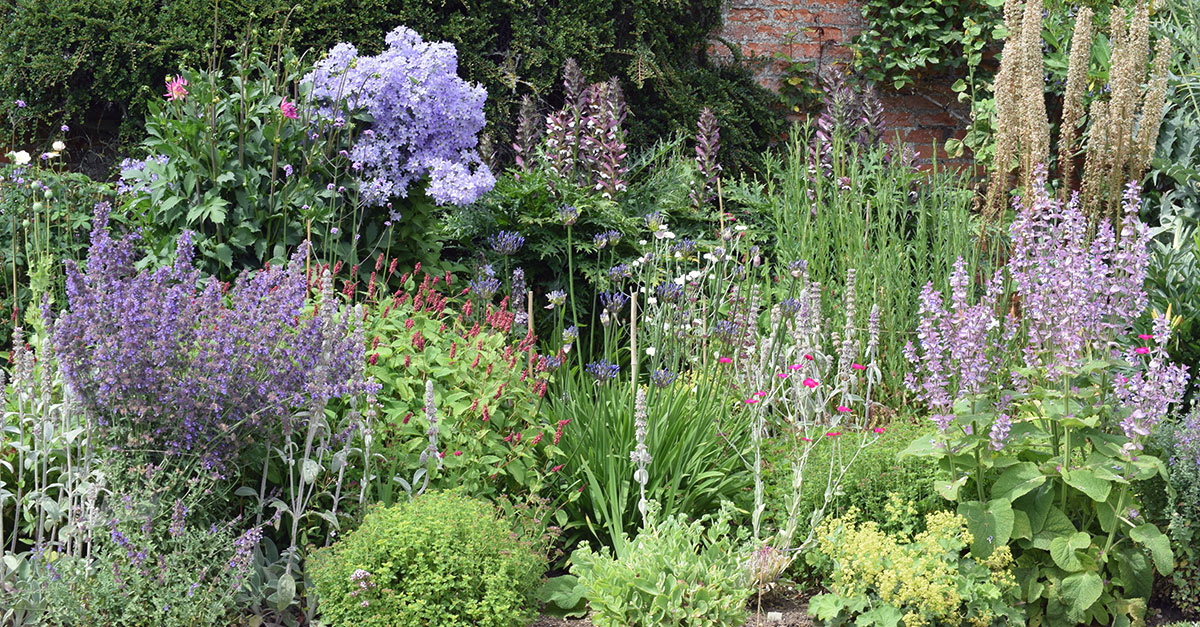 Ringstead open gardens Ringstead open gardens