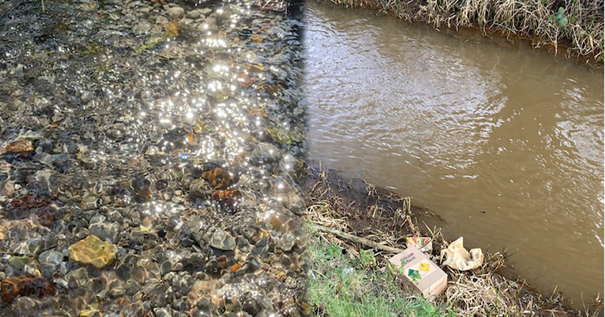 River gaywood web