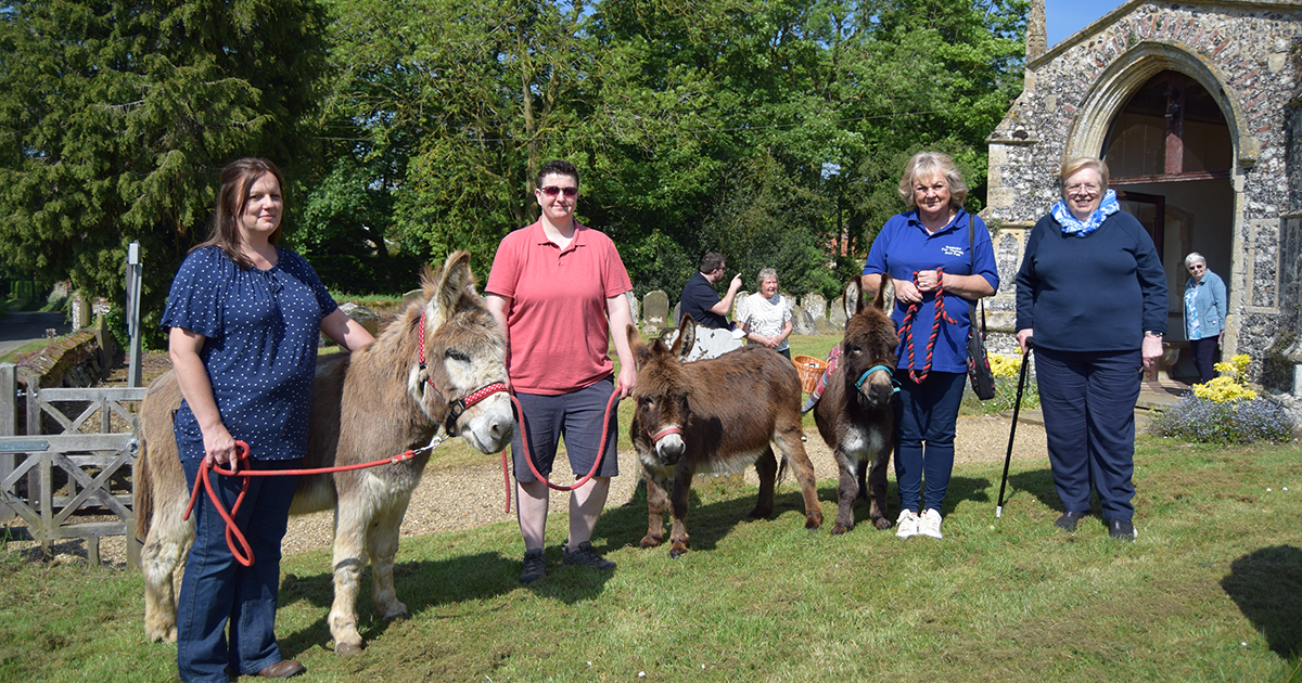 WEB 0718 donkeys and Rosemary WEB 0718 donkeys and Rosemary