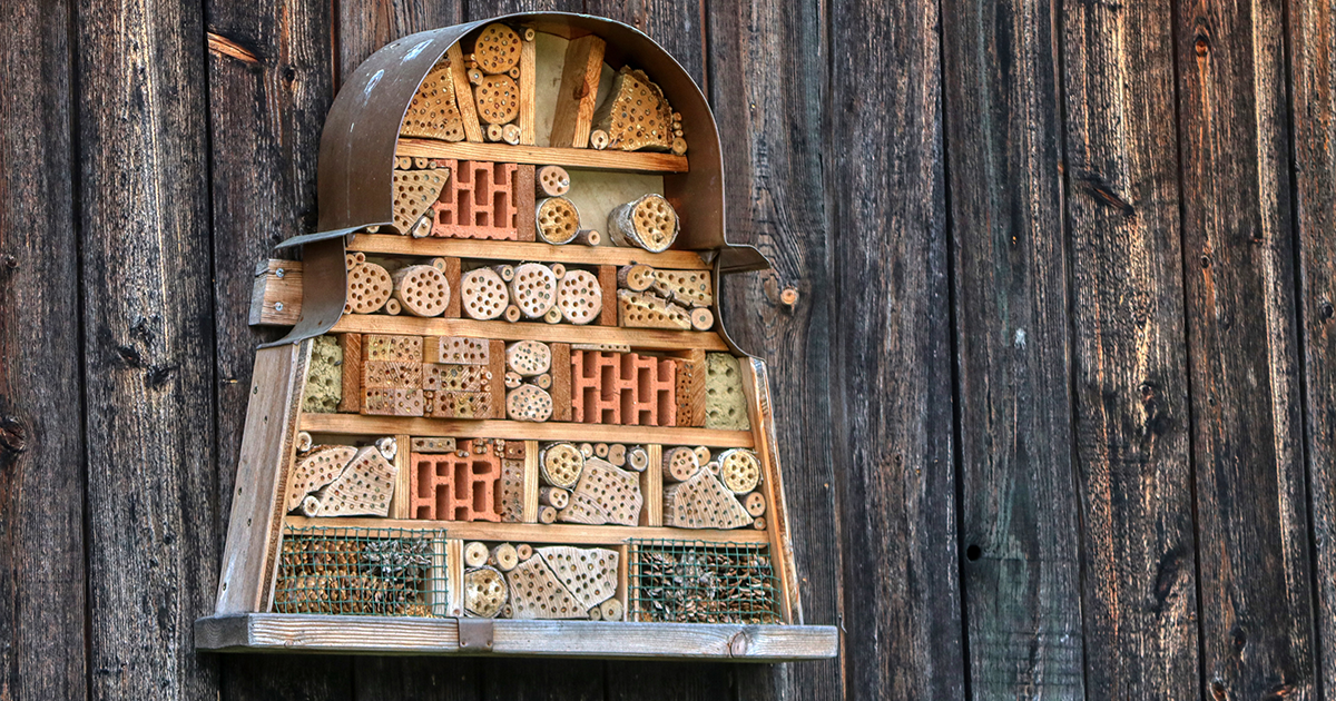 WEB bee hotel