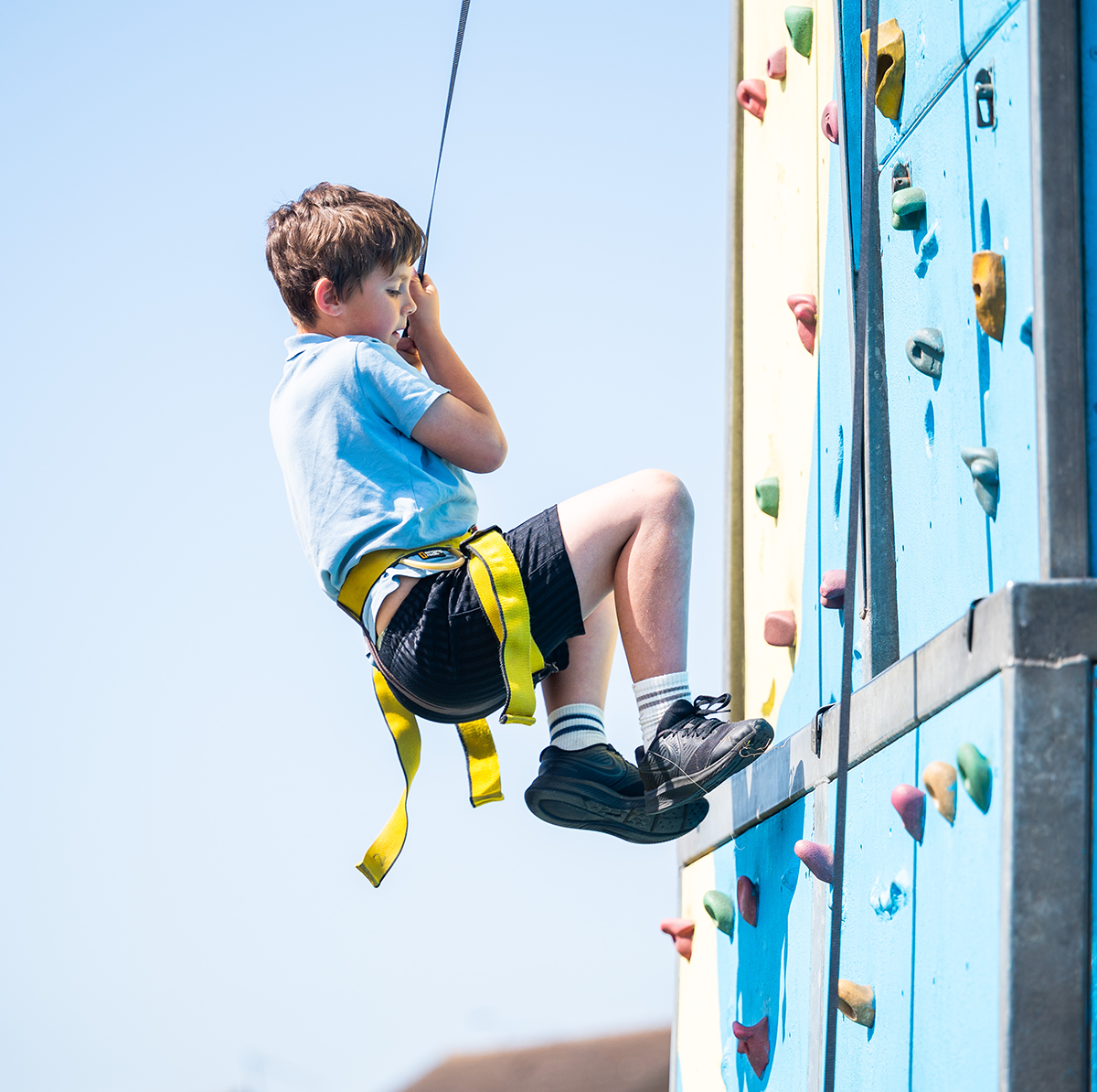 WEB Climbing boy