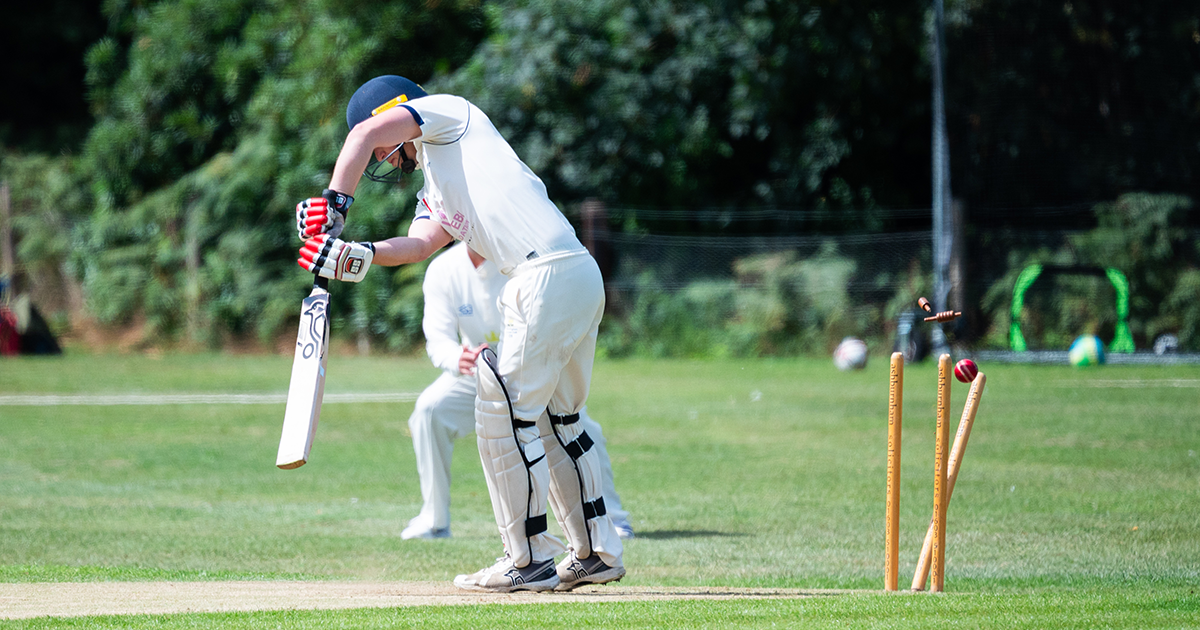 WEB Cricket 12