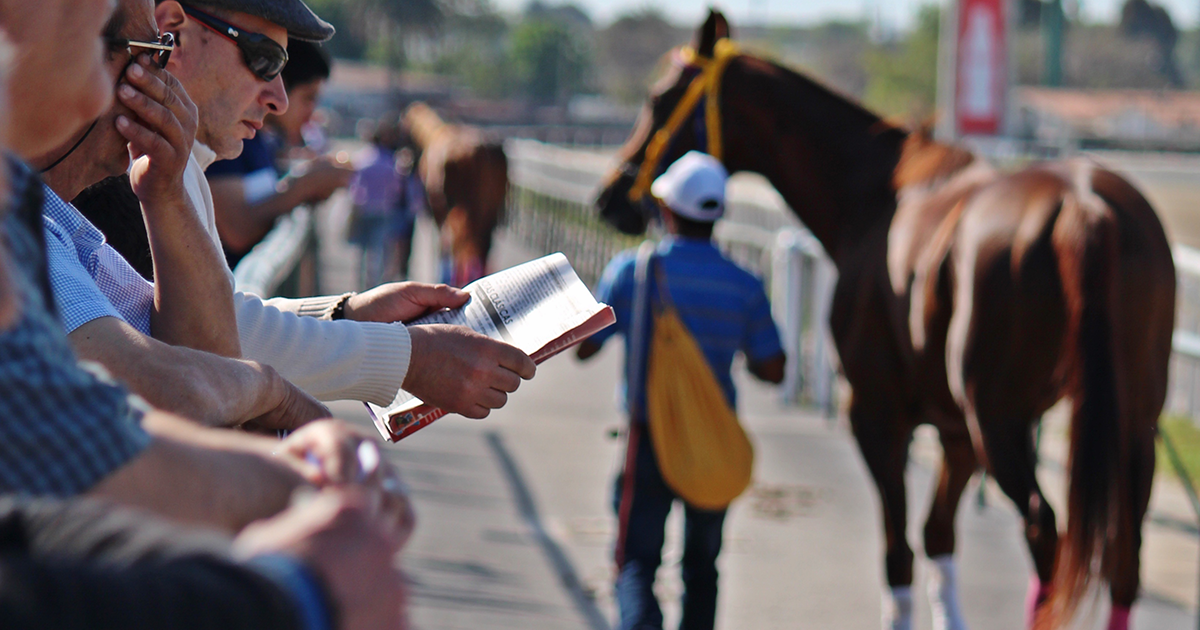 WEB horesracing betting WEB horesracing betting