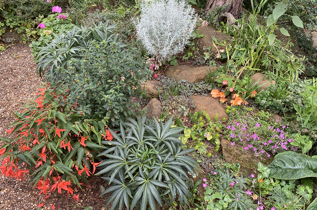 WEB IMG 0281