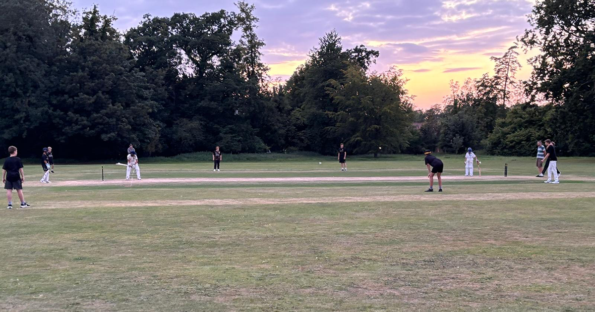WEB jnr cricket play