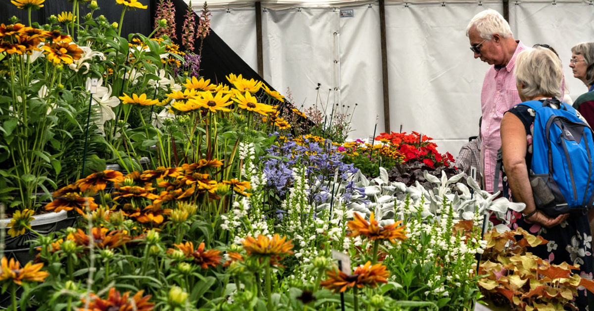 Sandringham flower show