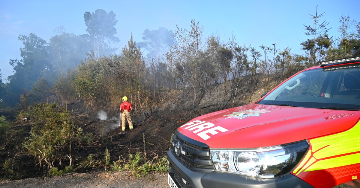 Fire crews tackle 5 wildfires in just 24 hours