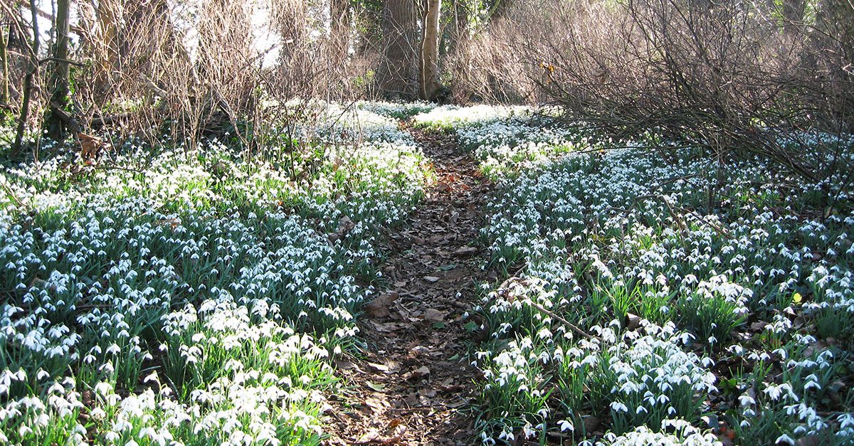 Does your garden have the wow factor?