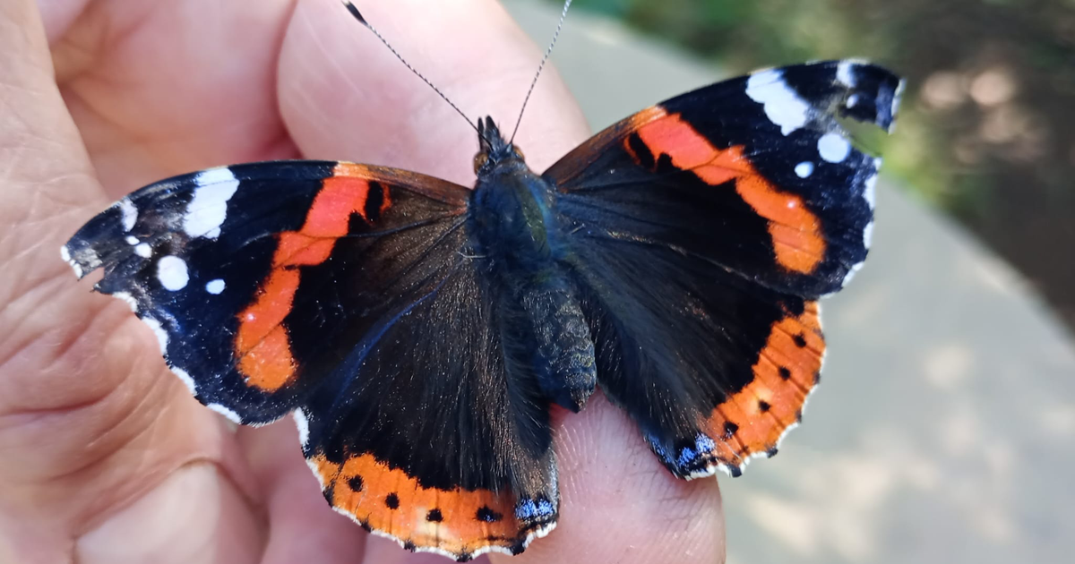 Wildlife celebrated in West Norfolk