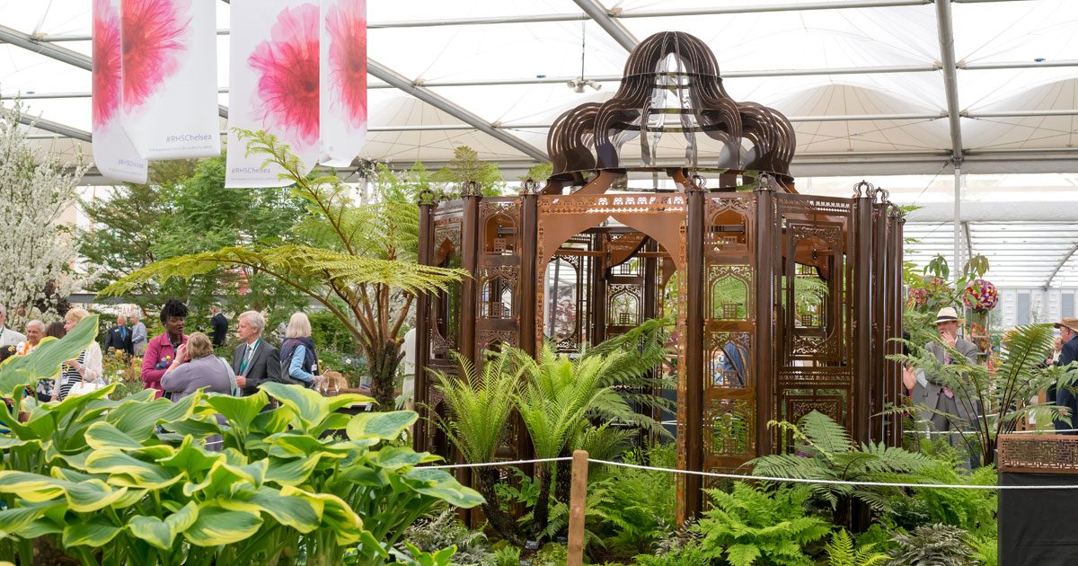 Winning Gold at the RHS Chelsea Flower Show