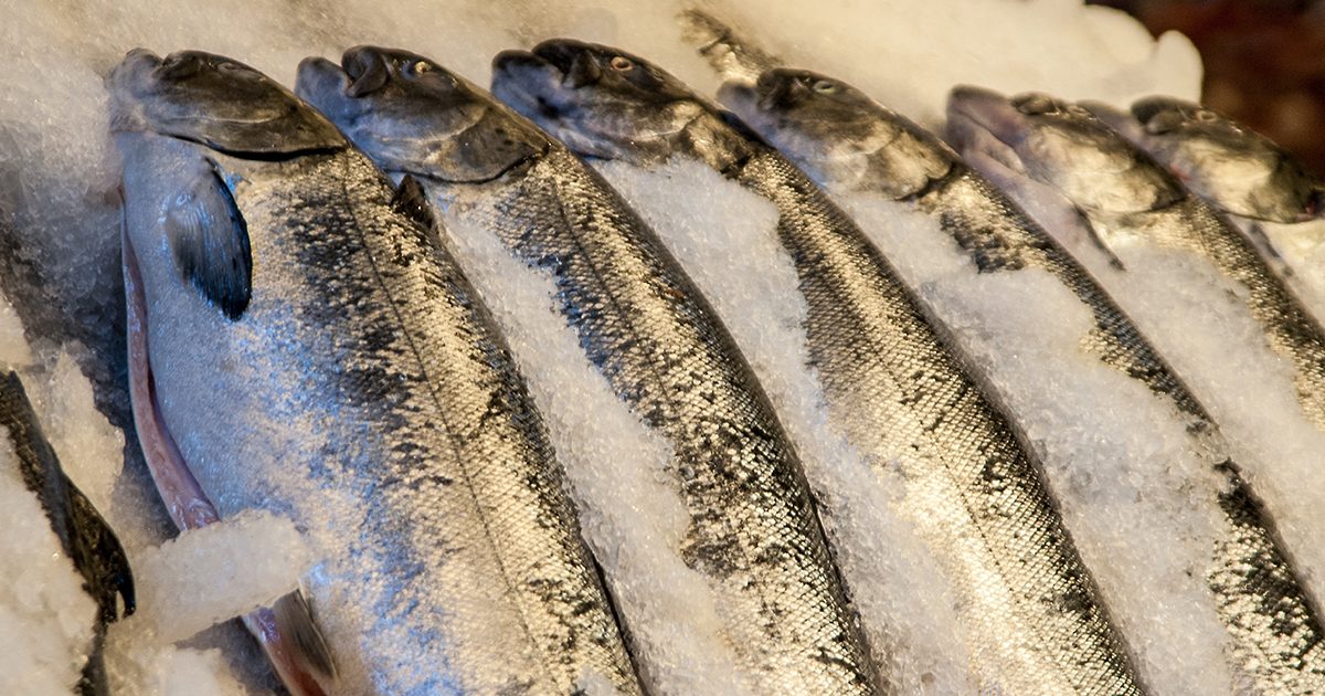 Rogue Trader Alert - Door to door fish seller in Snettisham