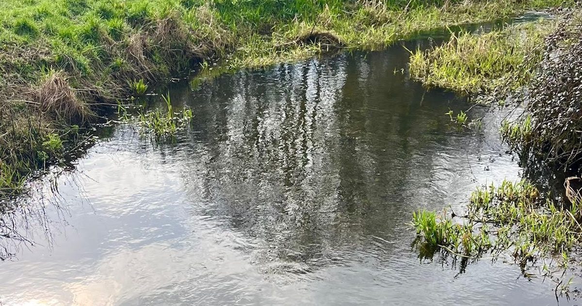 Protecting our Chalk Streams