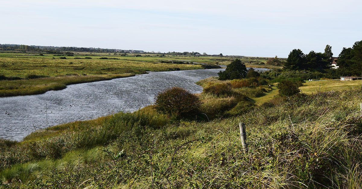 Local enterprises invited to free nature-focused, innovative workshops