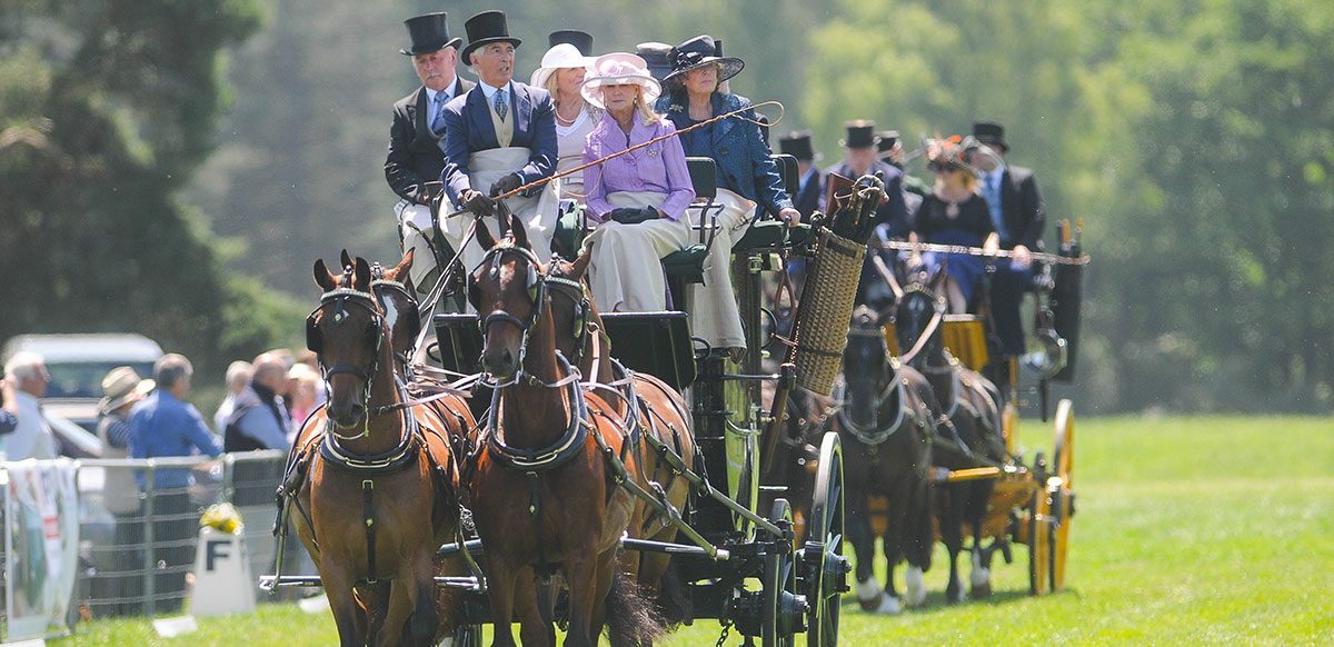 A weekend at the Sandringham Horse Driving Trials