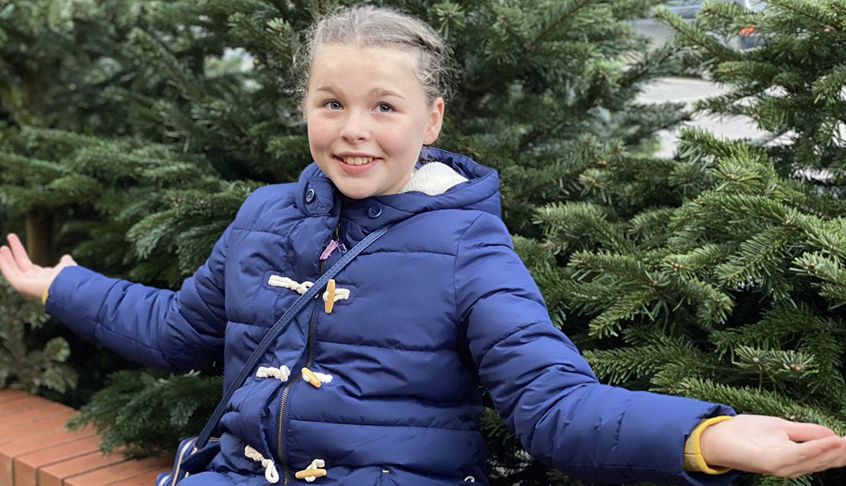 It's time to choose your Christmas Tree!