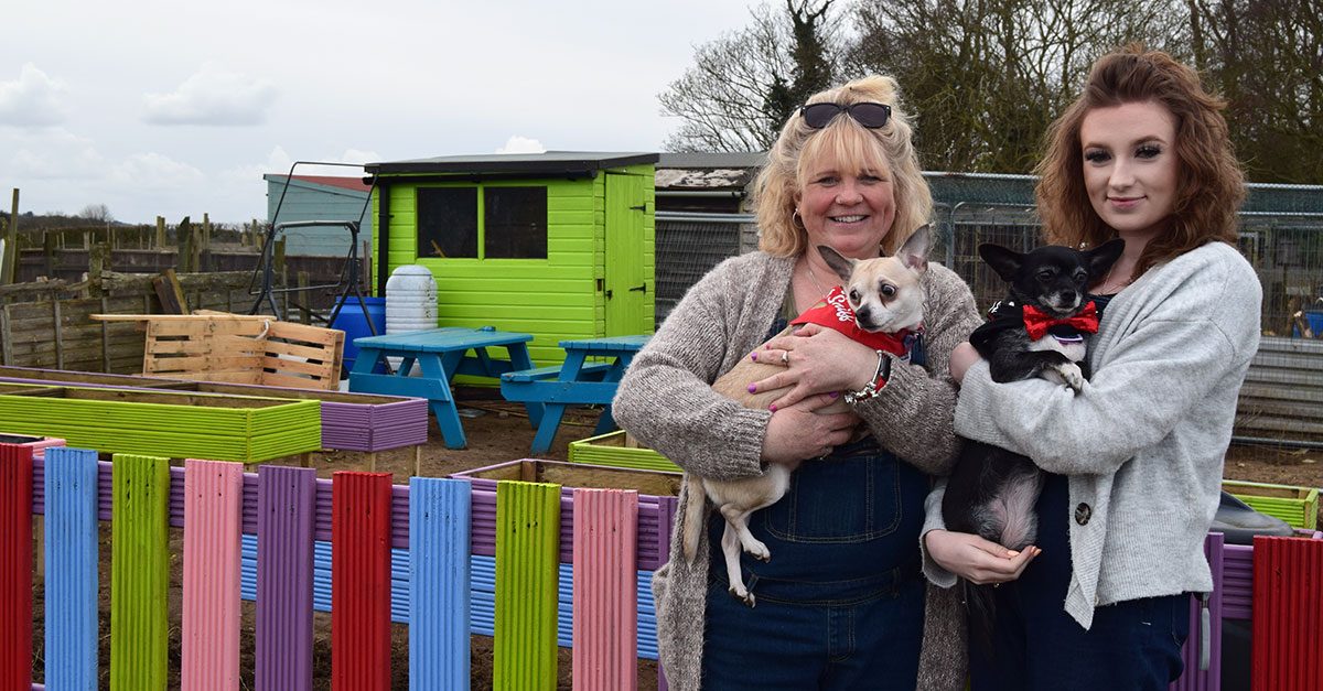 It’s a kind of Magick: Heacham duo’s children allotment dream becomes reality