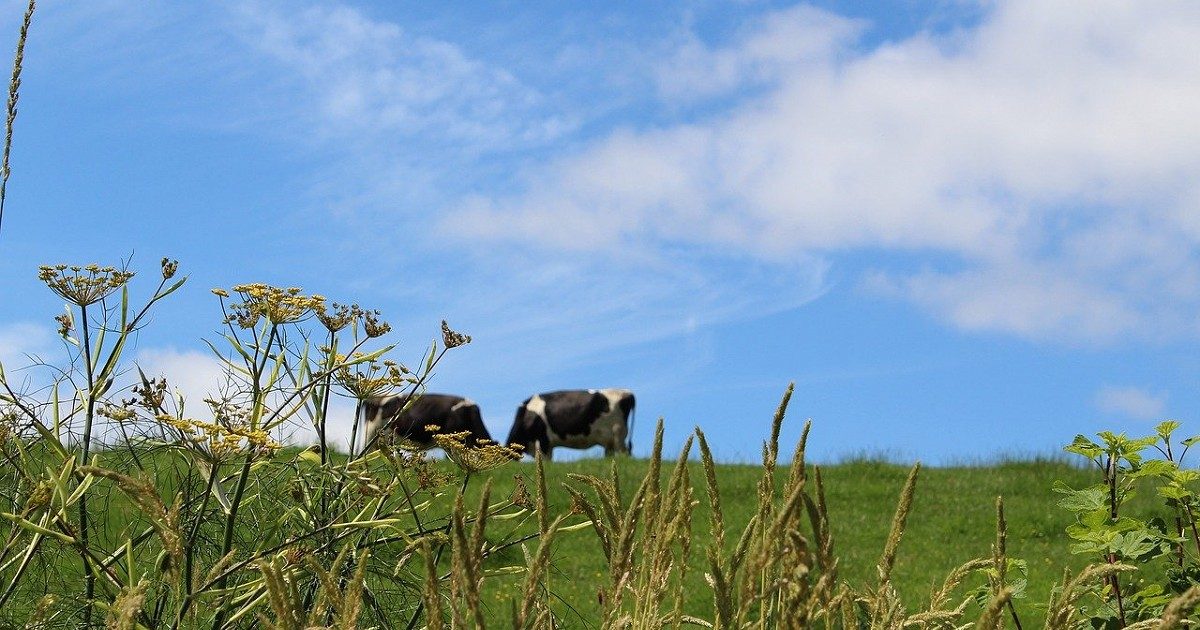 £3 billion support fund for farmers introduced