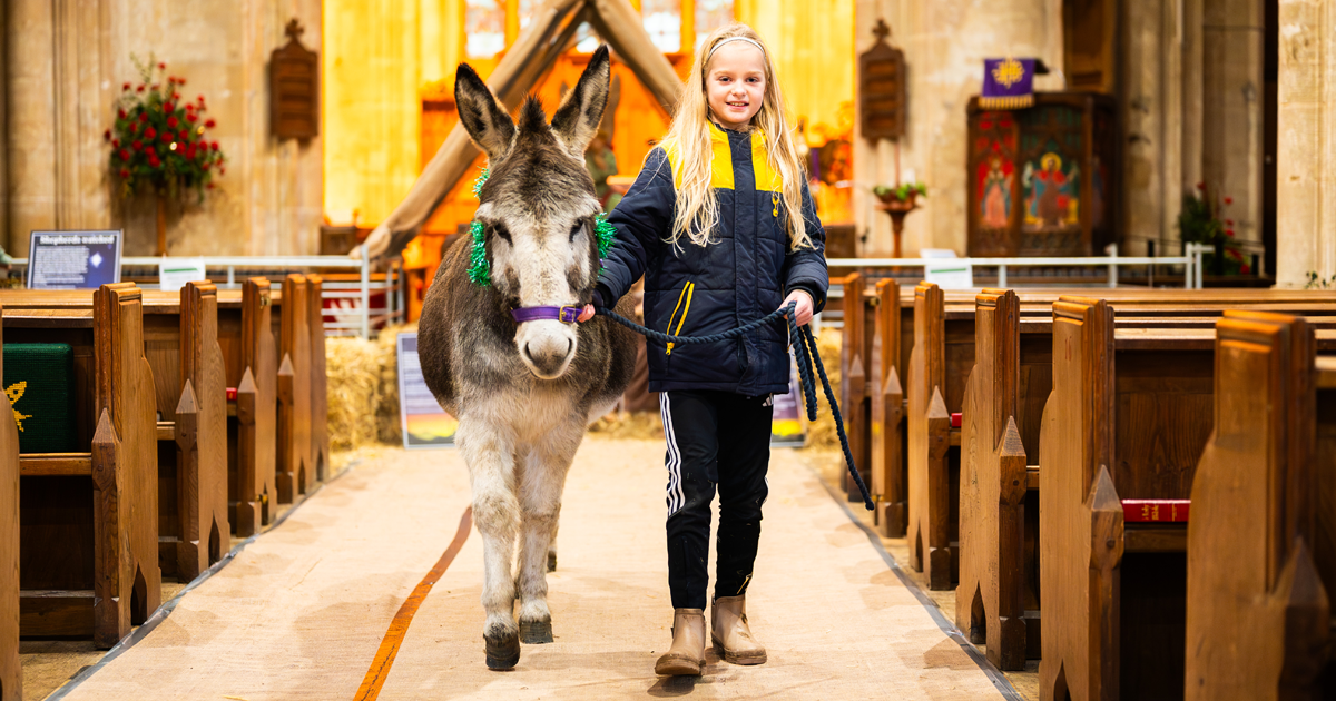 'Hay' there!  Animals delight at nativity