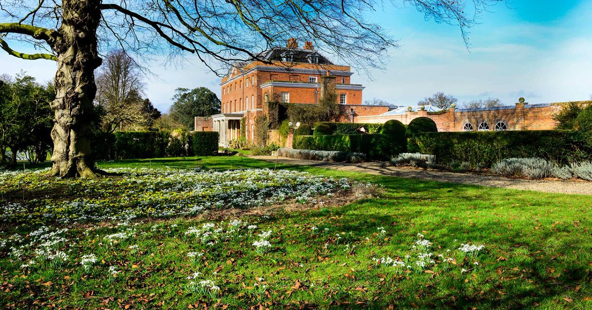 Guided Snowdrop Walk at Raveningham Hall