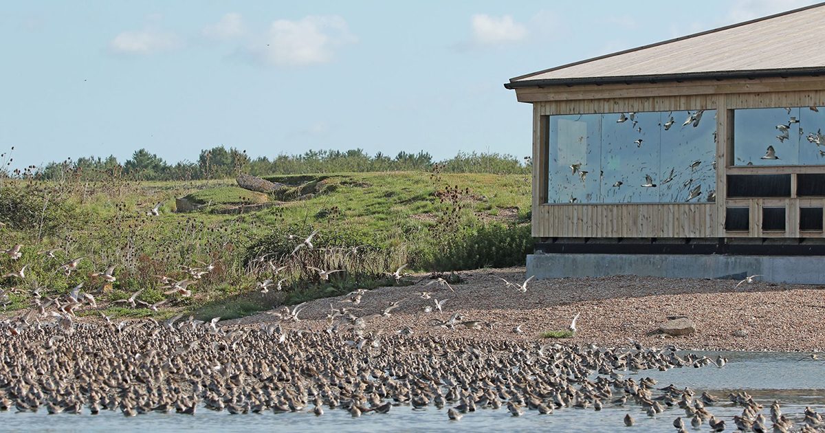 Knot's Landing, Snettisham - a virtual opening ceremony