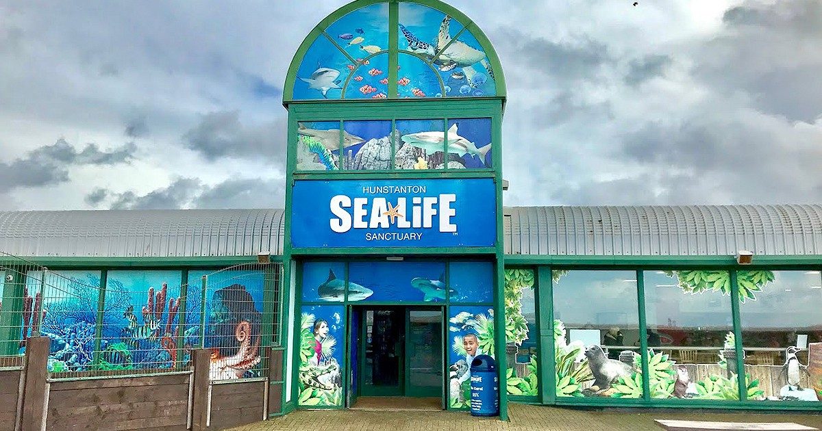 Sea Life Hunstanton will reopen to visitors on 4th July