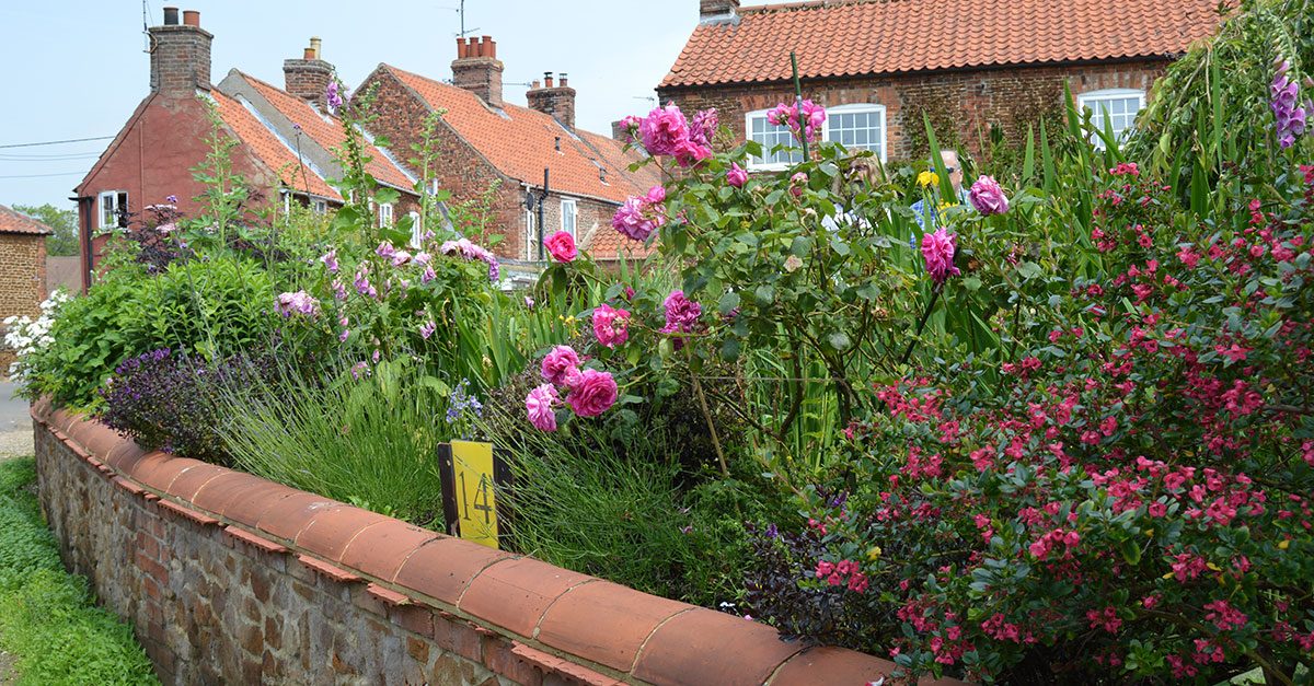 Snettisham Open Gardens