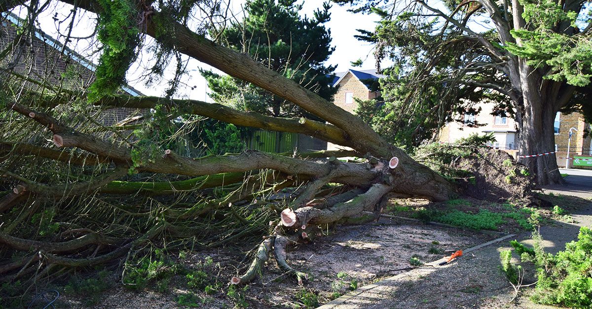 Storm Ciara wreaks havoc in Hunstanton