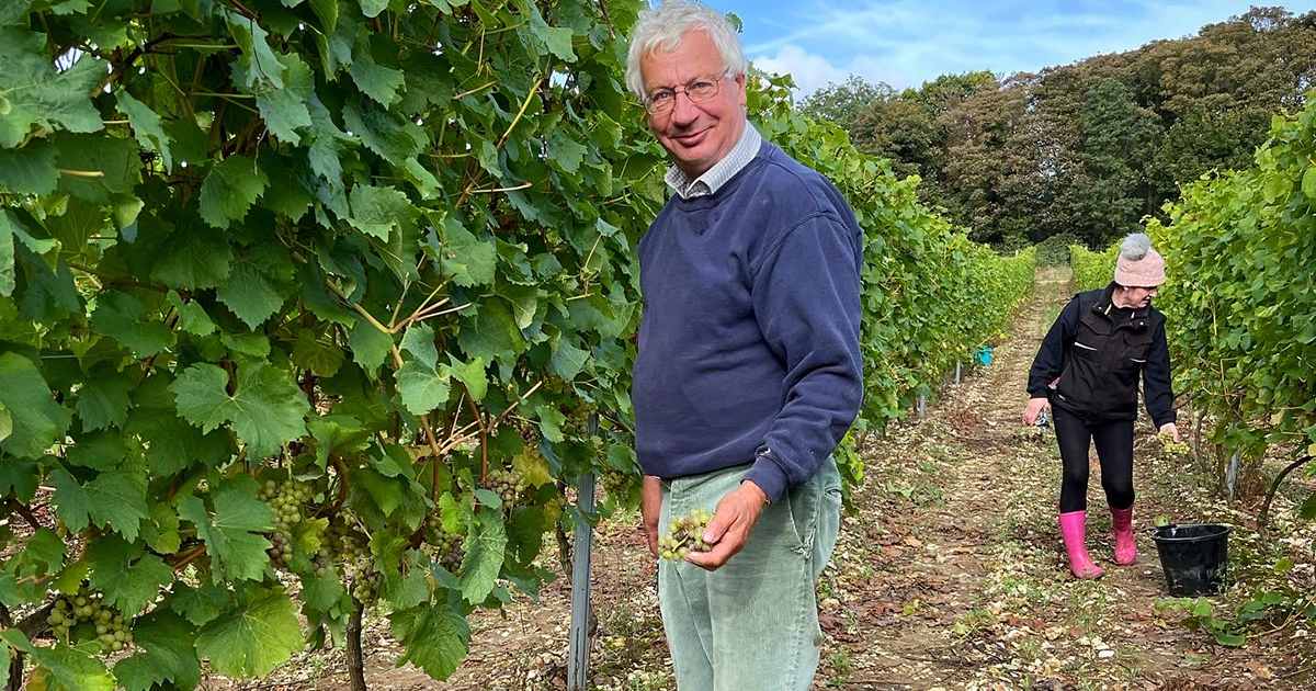 West Norfolk Winery Cobble Hill wins the 2022 Wines of Great Britain Gold Medal with its Sparkling Rosé