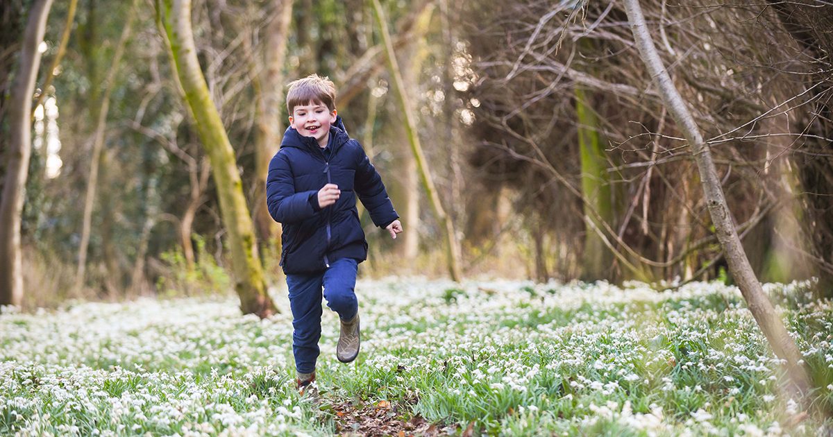 Snowdrop Festival heralds spring