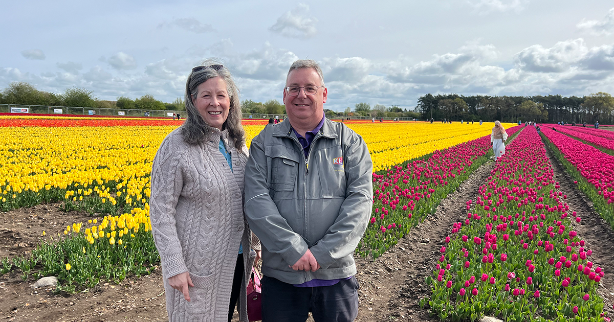 Tulip fields open for Norfolk Hospice
