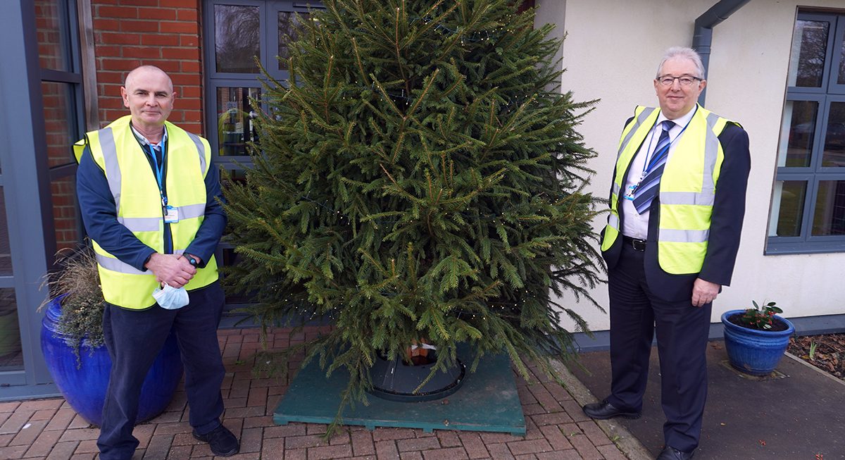 Be green and recycle your Christmas tree to help The Norfolk Hospice