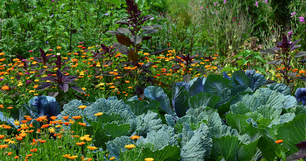 Old gardening methods in the UK making a revival